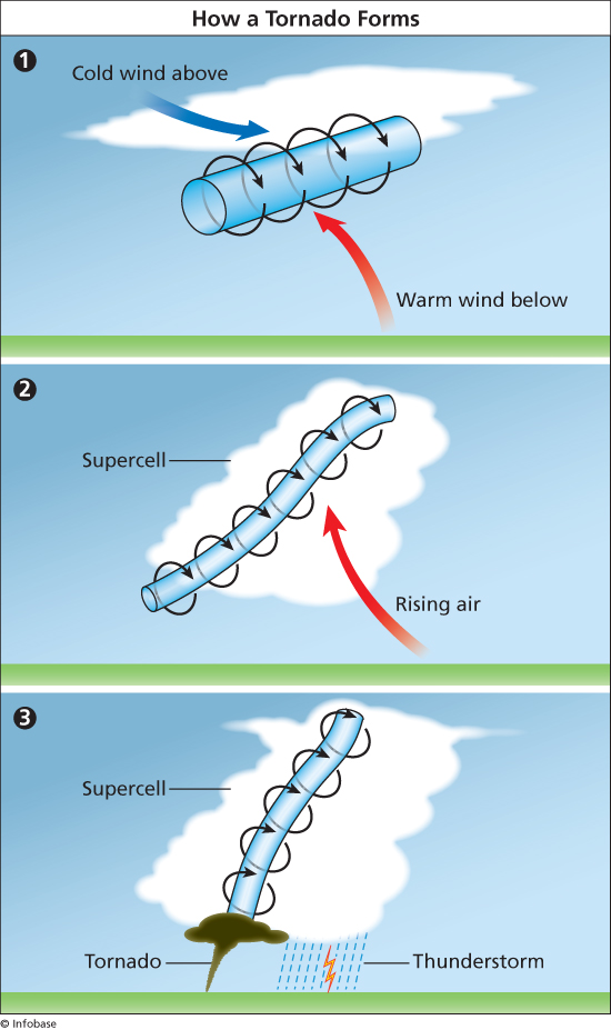 “How a Tornado Forms.” The World Almanac for Kids, Infobase Learning, wak.infobaselearning.com/display-media.aspx?wid=19598&mid=32425